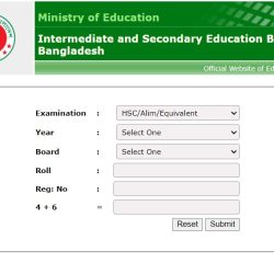 SSC/ Dakhil Examination Result 2022